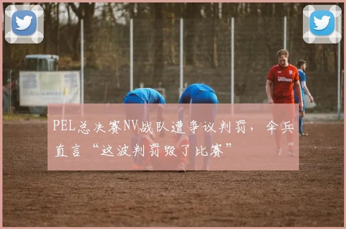 PEL总决赛NV战队遭争议判罚，伞兵直言“这波判罚毁了比赛”